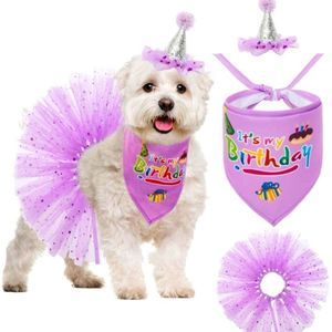 Dog 🐩 Birthday 🎉 Party Outfit